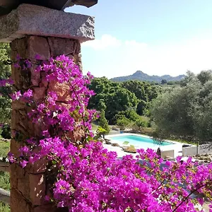 Desole Vakantieboerderij